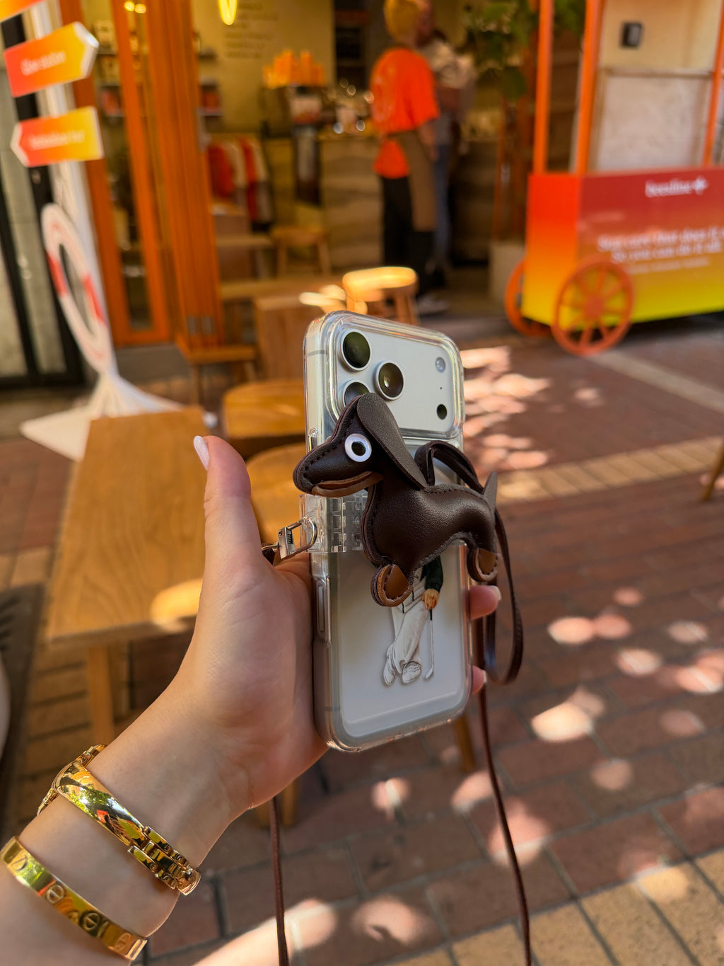 Dog Clip strap